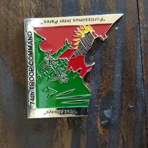 🌲 74th Troop Command Challenge Coin